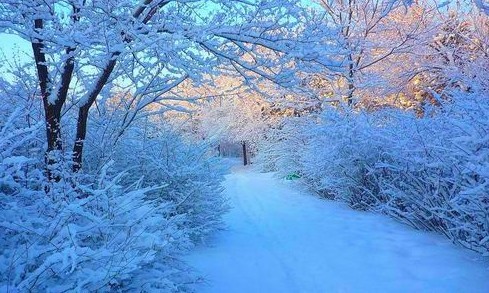 【春节】沈阳故宫、雪域长白山、中国第一雪乡、亚布力滑雪、东方小巴黎哈尔滨6日