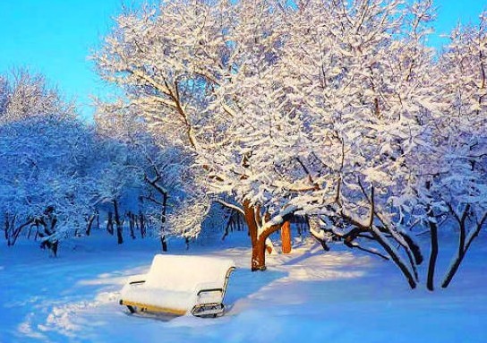 【春节】沈阳故宫、雪域长白山、中国第一雪乡、亚布力滑雪、东方小巴黎哈尔滨6日