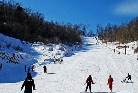 【春节】沈阳故宫、雪域长白山、中国第一雪乡、亚布力滑雪、东方小巴黎哈尔滨6日