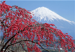 北海道