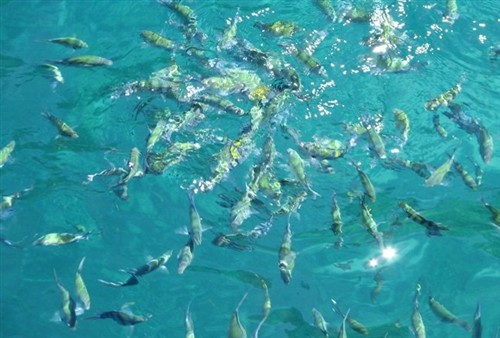 暑期游的热点目的地 普吉岛魅力无限——普吉岛旅游攻略