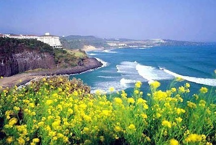 韩国首尔旅游全攻略