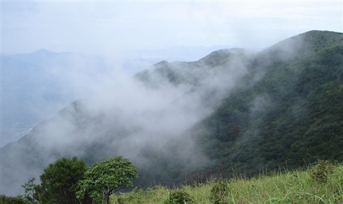 巽寮湾自助游小锦囊