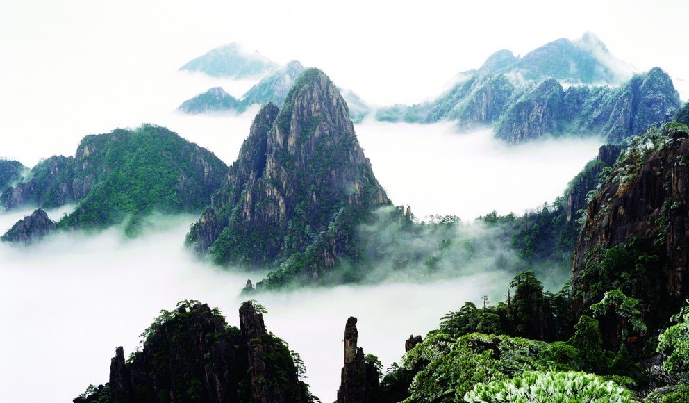 黄山仙境、生态猴源双卧四天团