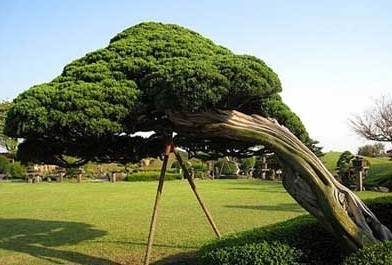 韩国济州4天品质团
