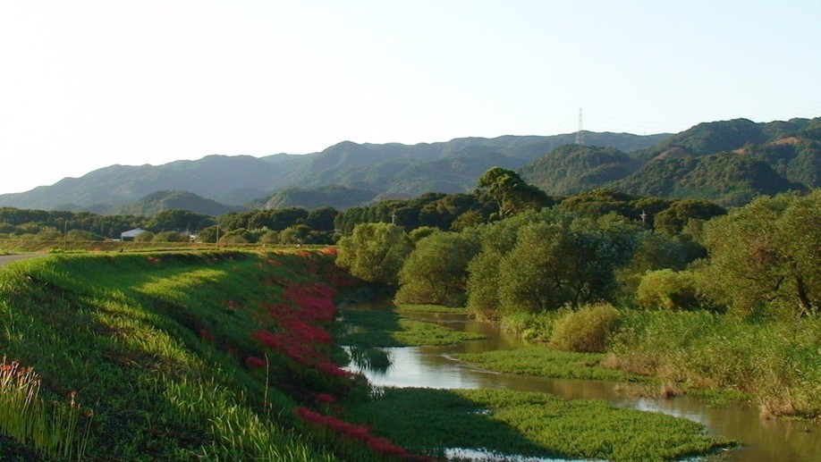 日本本州北海道美食温泉7天游（阪东）