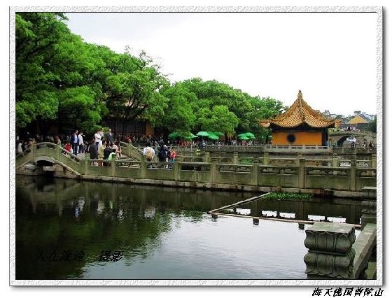 老人旅游线路,适合老人旅游的地方普陀山