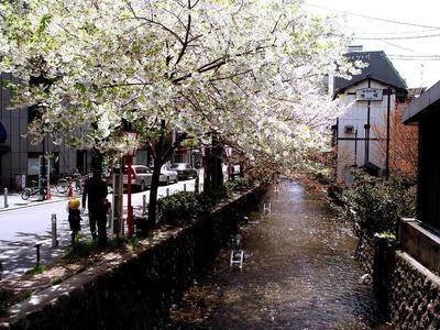 日本