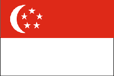 新加坡（旅游便捷签证）